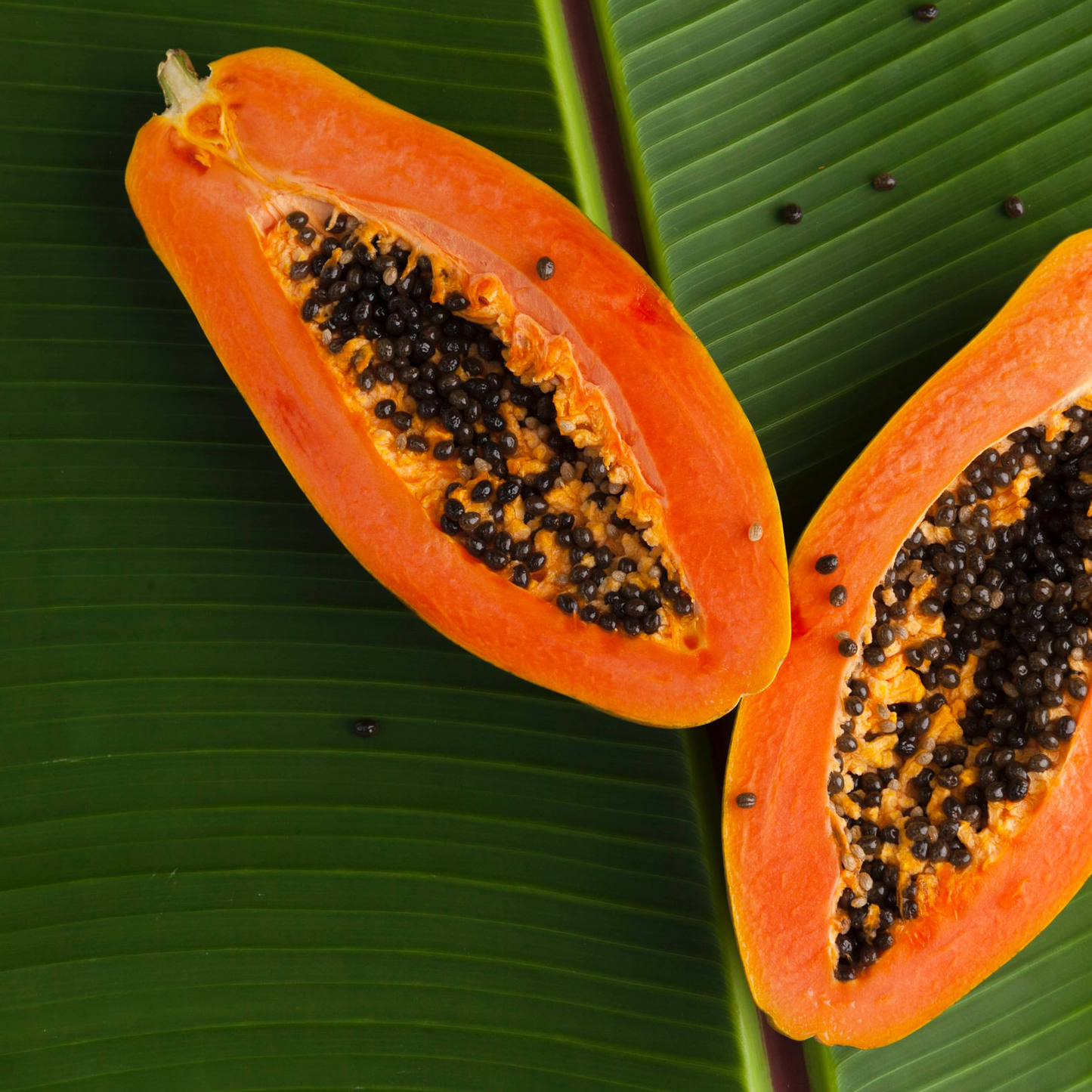 Papaya, dried