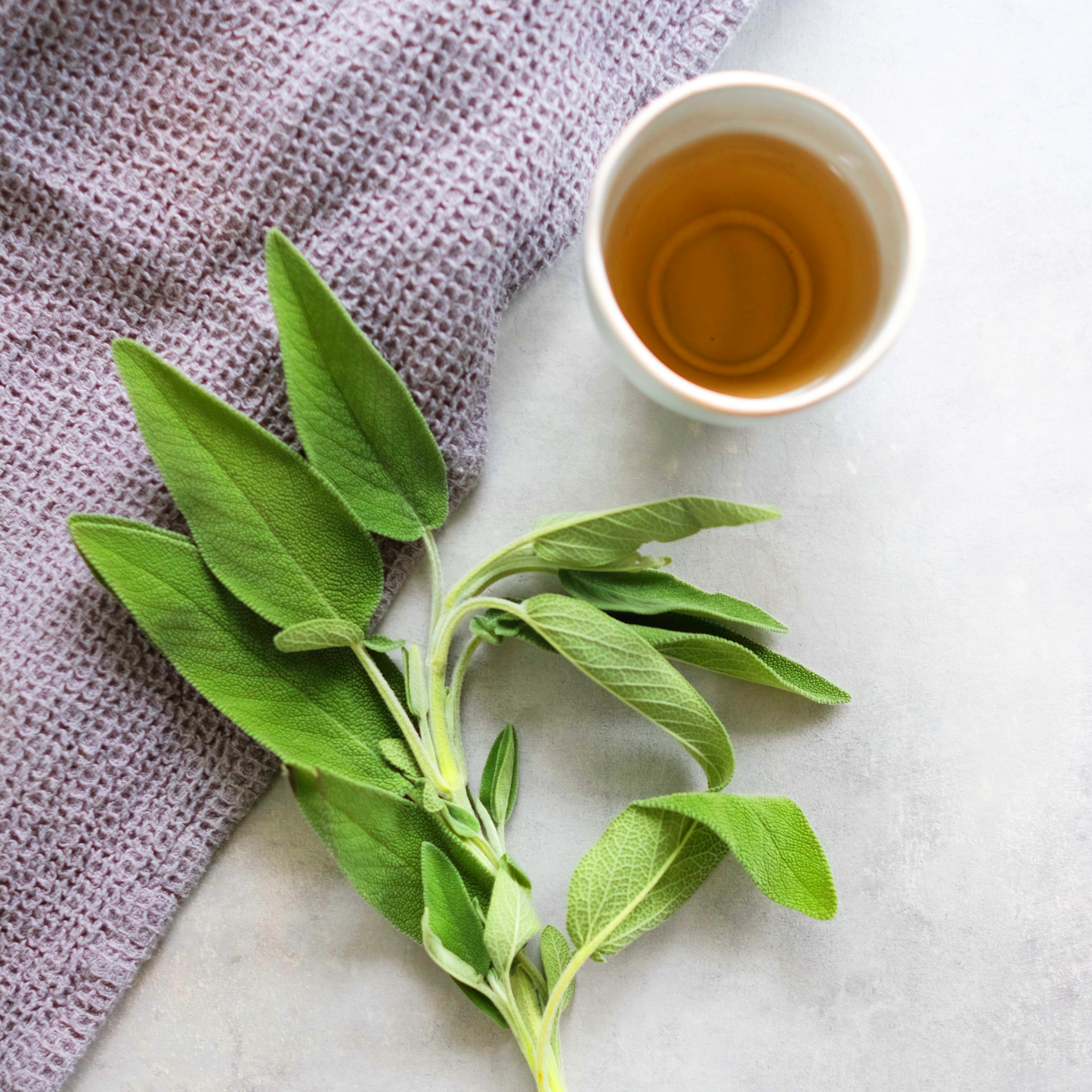 Sage tea (Salvia)