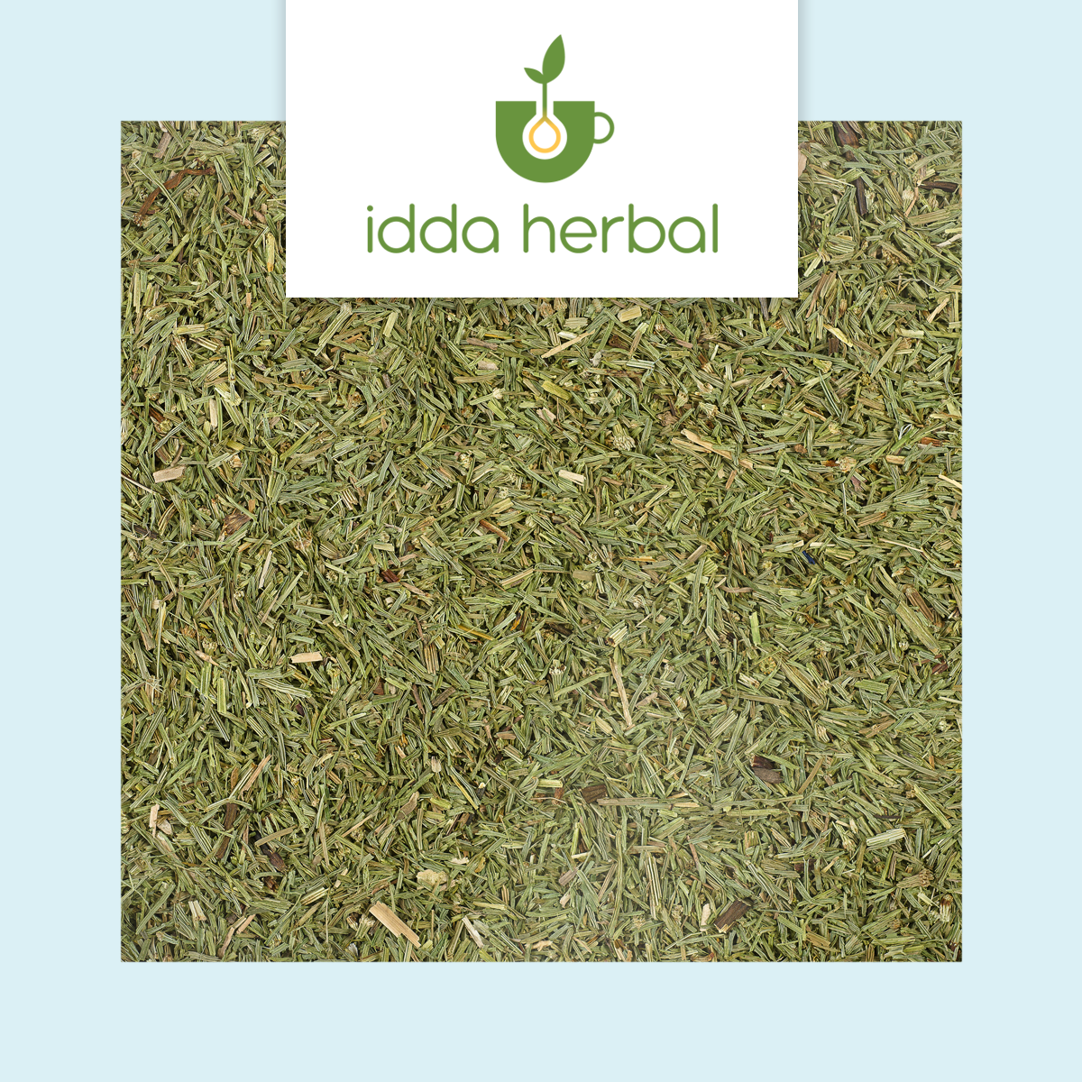 Field horsetail herb